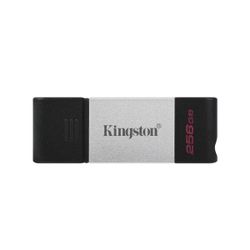 Kingston Technology DataTraveler 80 USB flash drive 256 GB USB Type-C 3.2 Gen 1 (3.1 Gen 1) Zwart, Zilver