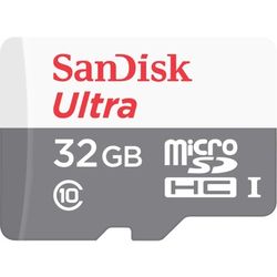 SanDisk SDSQUNR-032G-GN3MN flashgeheugen 32 GB MicroSDHC Klasse 10